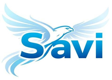 www.savipressurewashers.com